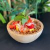 Mousse de Mango 🌱